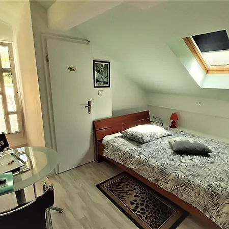 Sobe Silva Penzion Tolmin