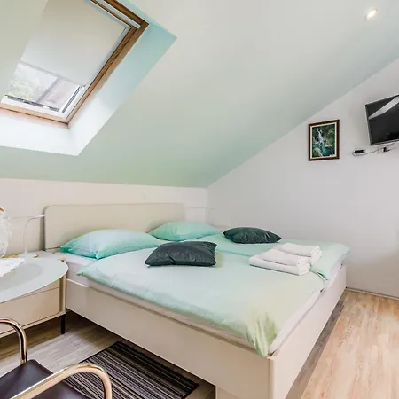 Sobe Silva 3* Tolmin