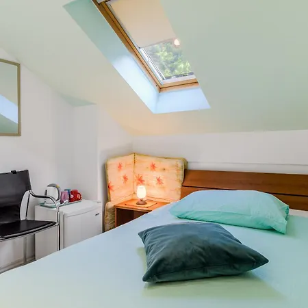 Sobe Silva 3* Tolmin
