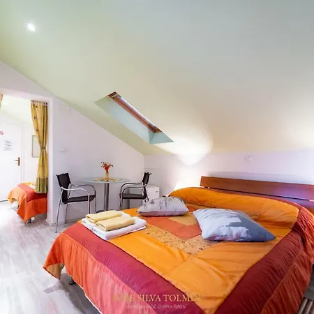 Guest house Sobe Silva Tolmin