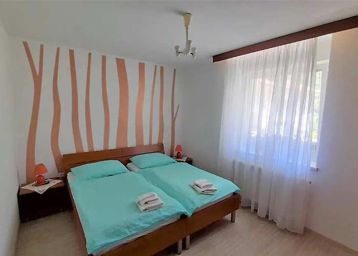 Sobe Silva 게스트하우스 톨민