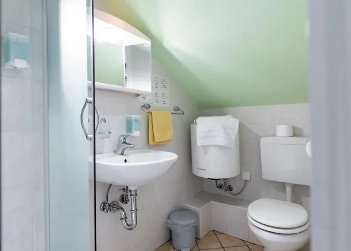 Affittacamere Sobe Silva 3*